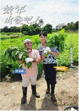 大同鼓楼木构与券洞的档案封面