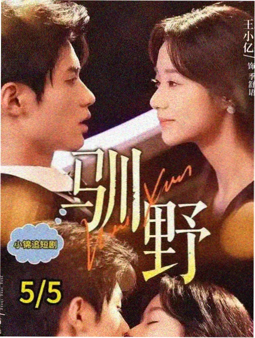 九龙壁琉璃照壁与倒影池的档案封面